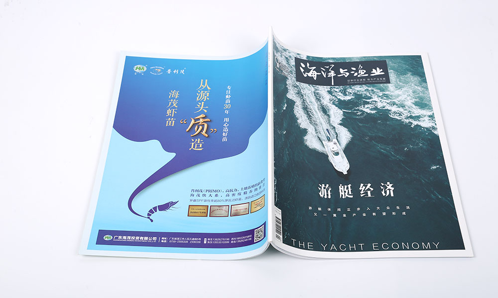 景区期刊杂志设计,景区期刊杂志设计公司