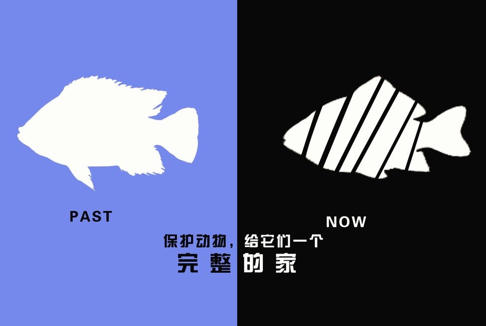 广告设计制作有哪些要求？有哪些注意事项？